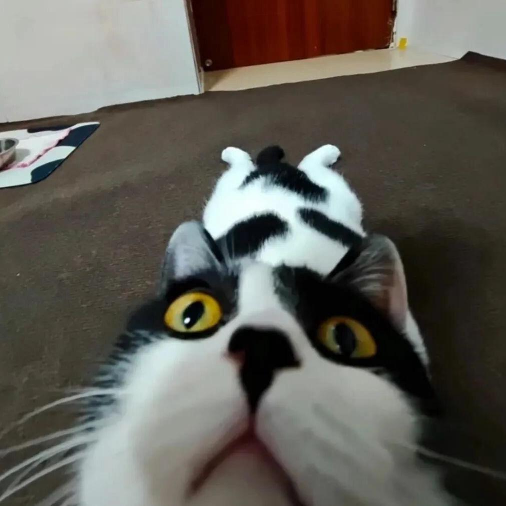 ￴ ￴ ￴老公pc被抓叫我去赎