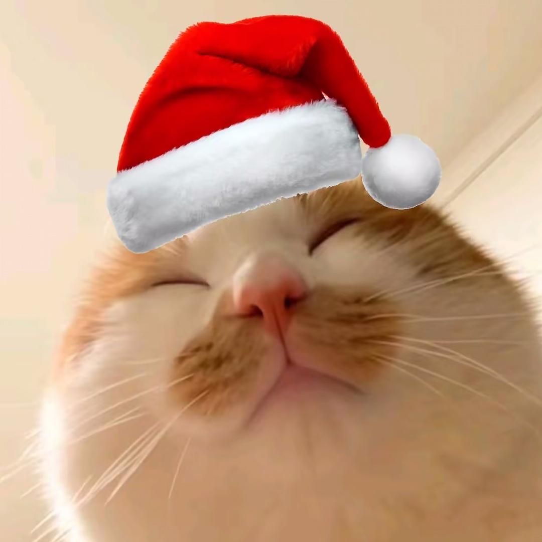 ^ ^