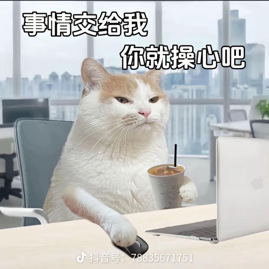 开水是我的娇妻