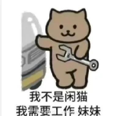 飞翔的奶茶猫
