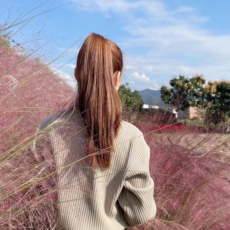 小葫芦❤❤
