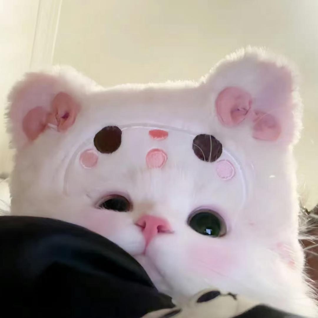 〇