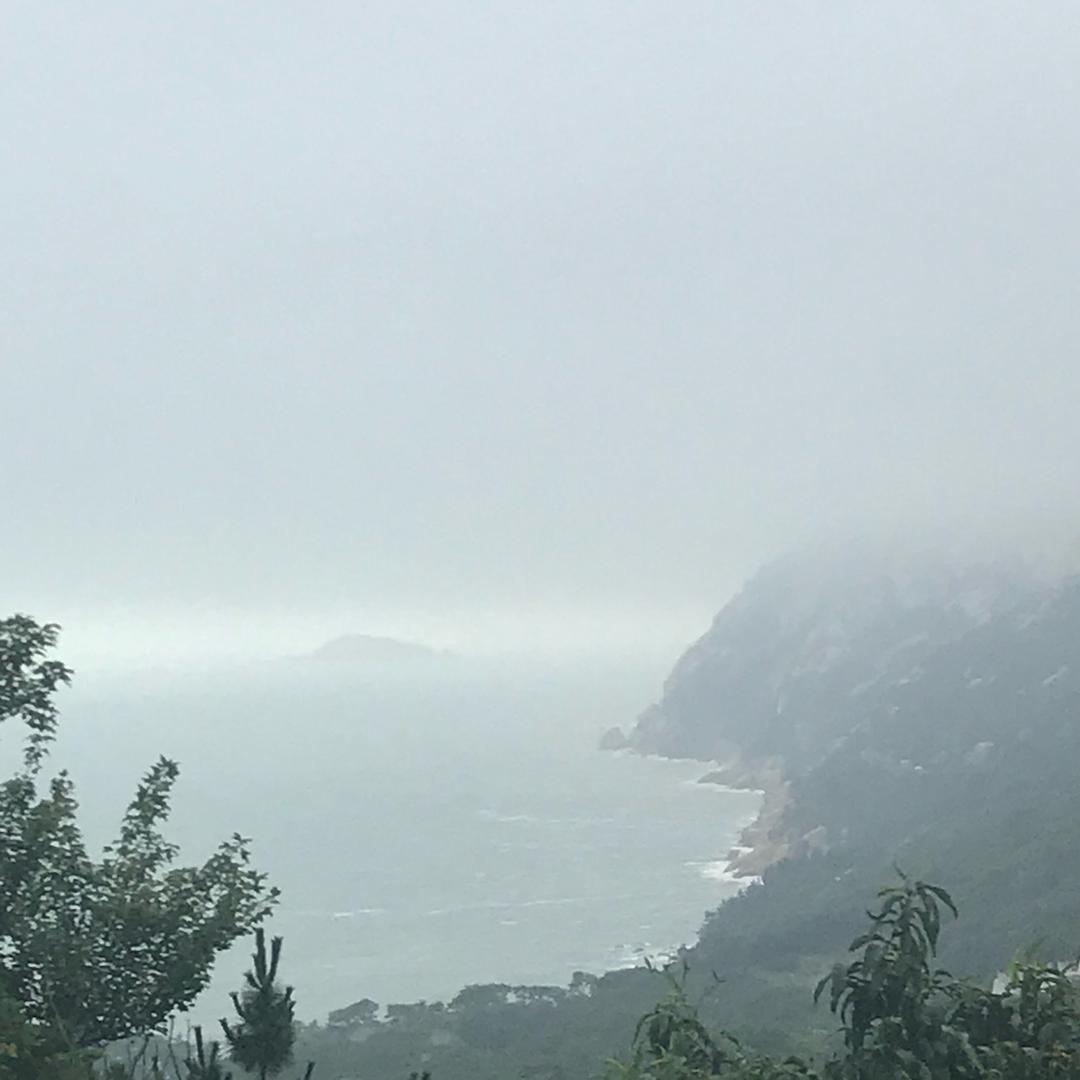青青青青青㵺