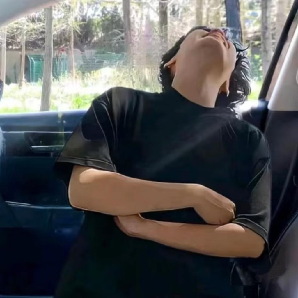 树懒