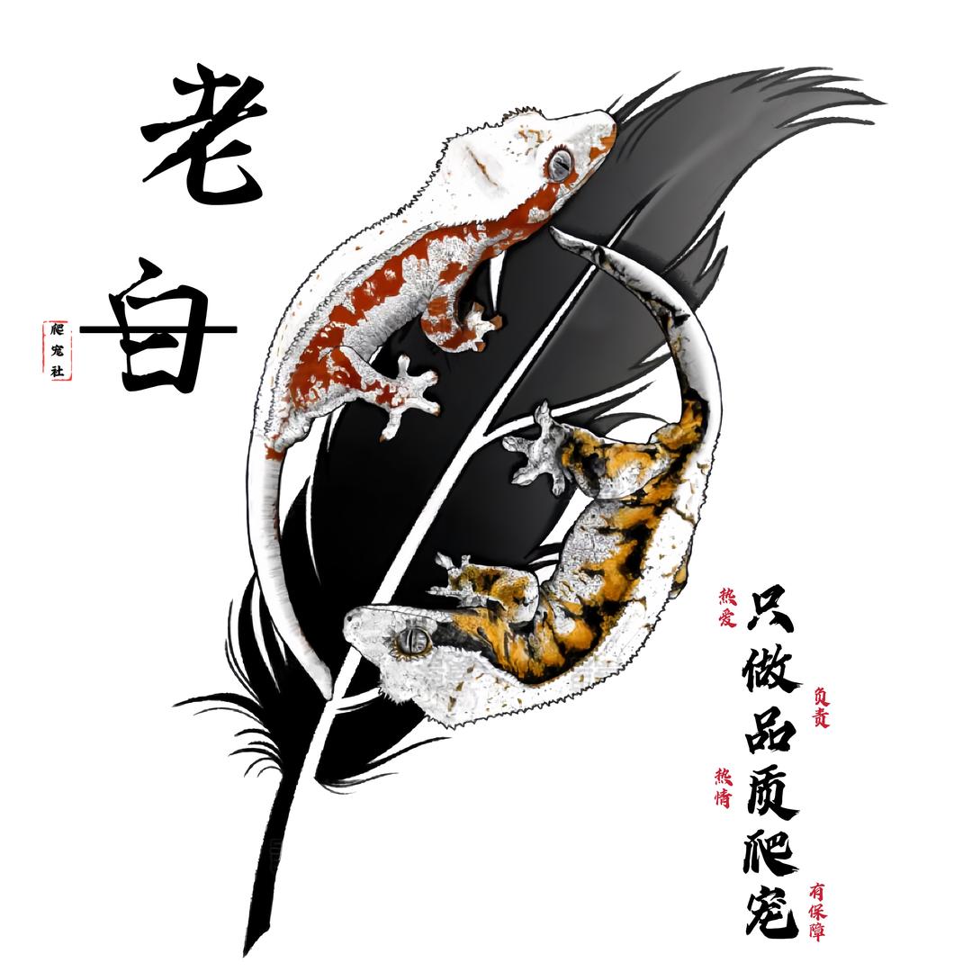 LBPC🦎朋友圈