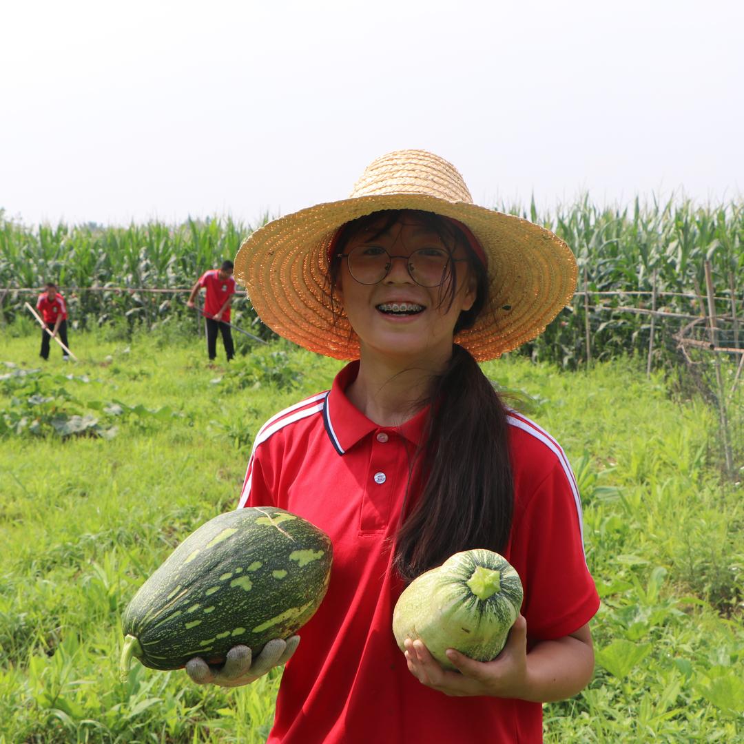 荔了个枝水果店