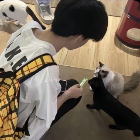 呜呼