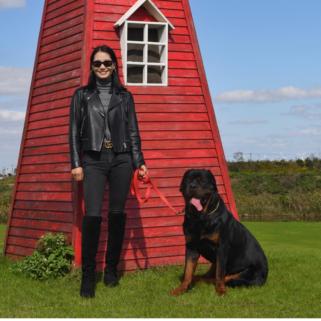 大壮是只罗威纳