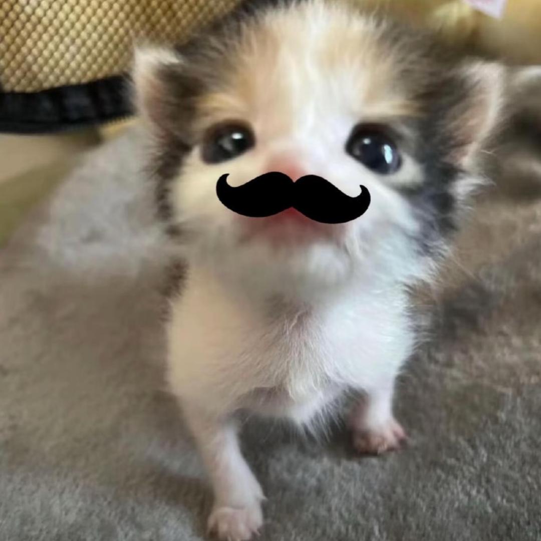 我再也不煮冻了