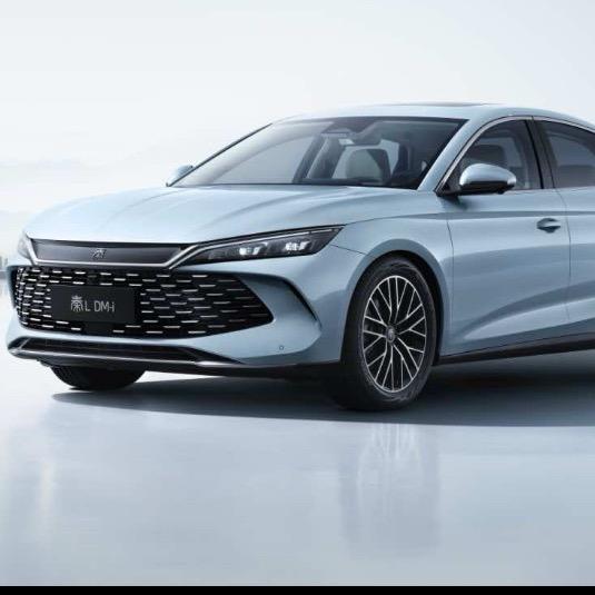 常德隆迪金旋风4S店雷林