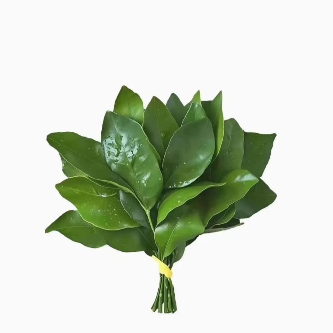 比巴卜