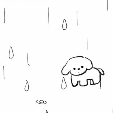。o