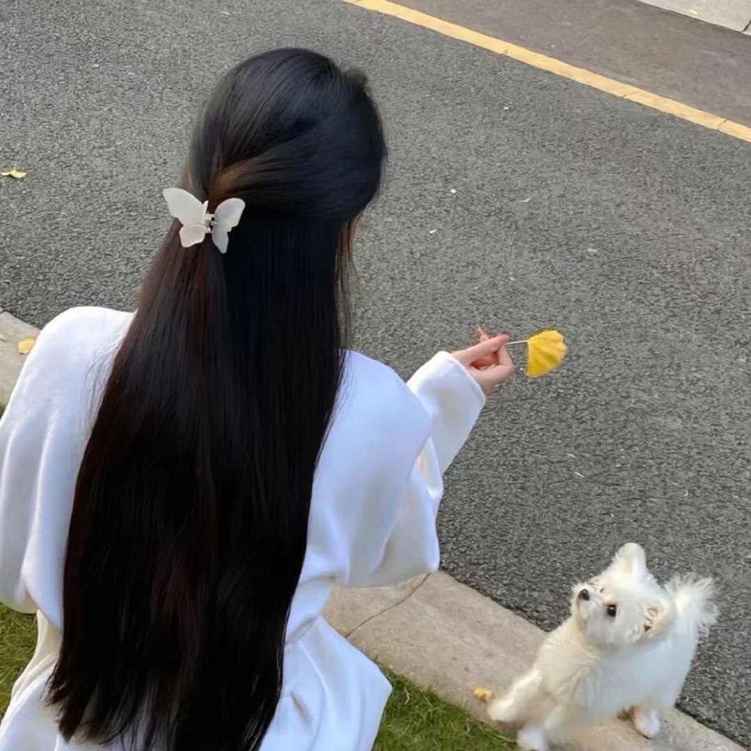 哈喽言言