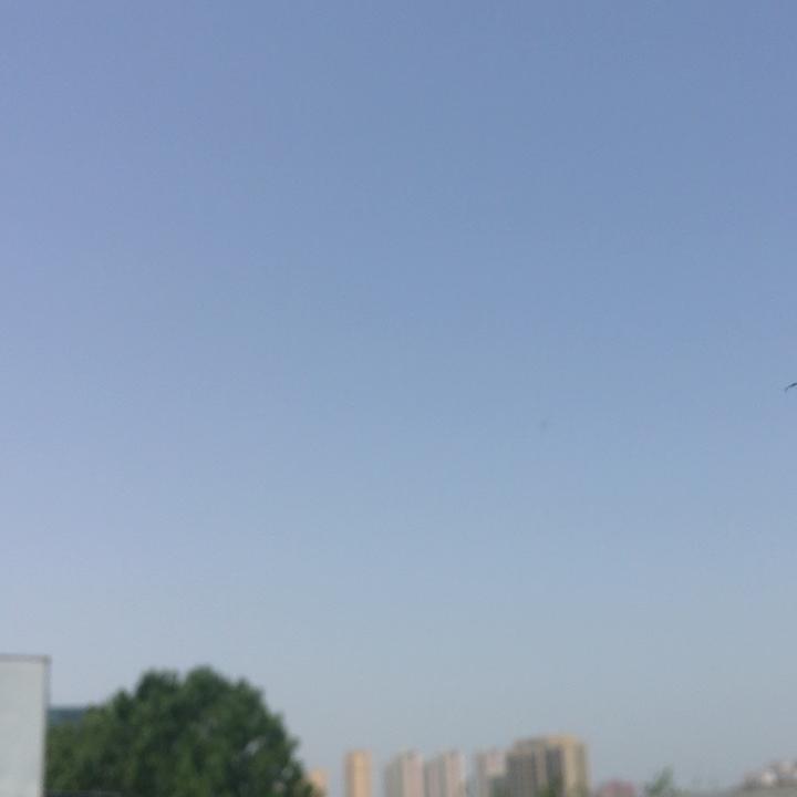 广州燕桑