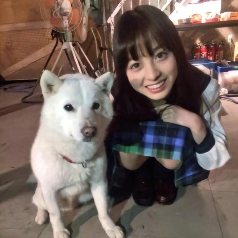 樹
