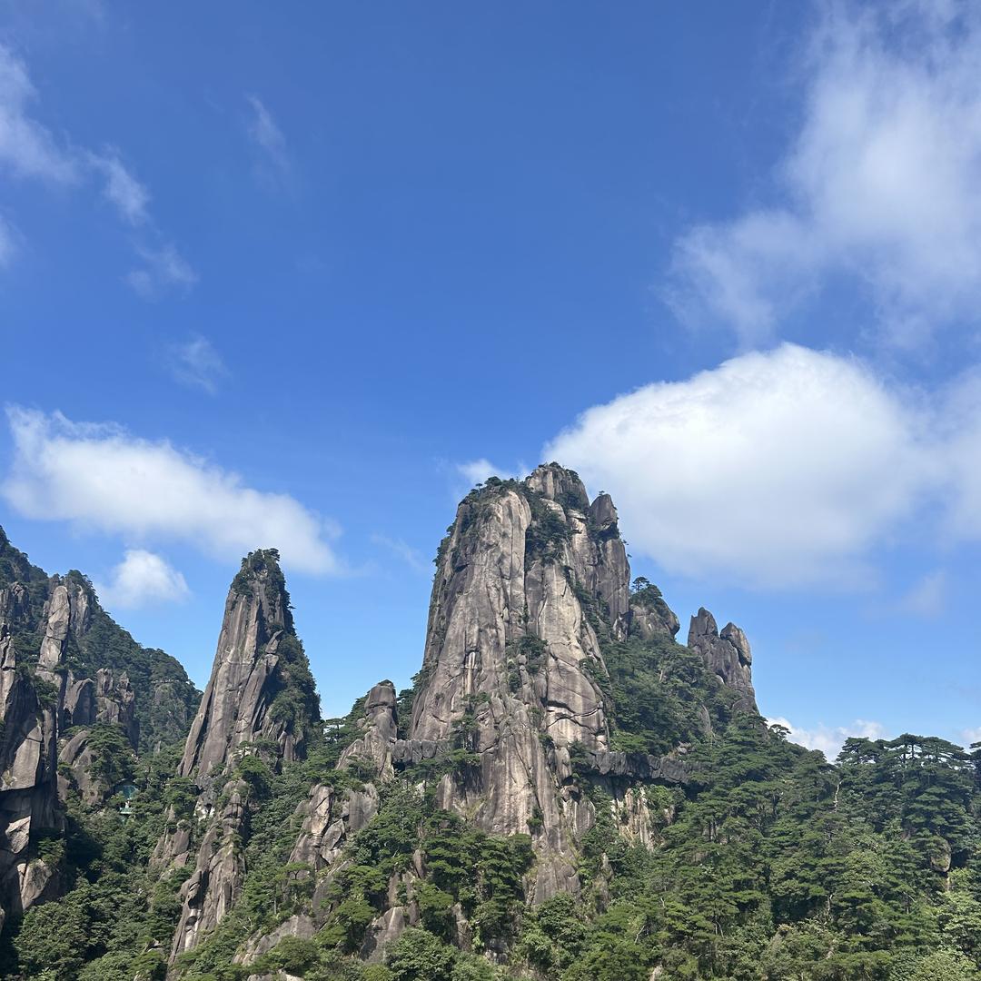 嵊州市雅帅门窗直销店