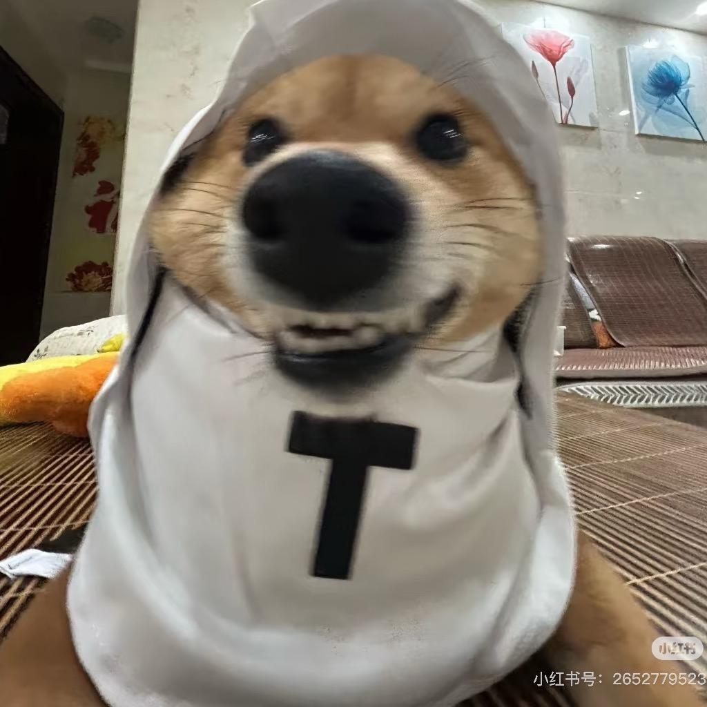 南通宠物市场