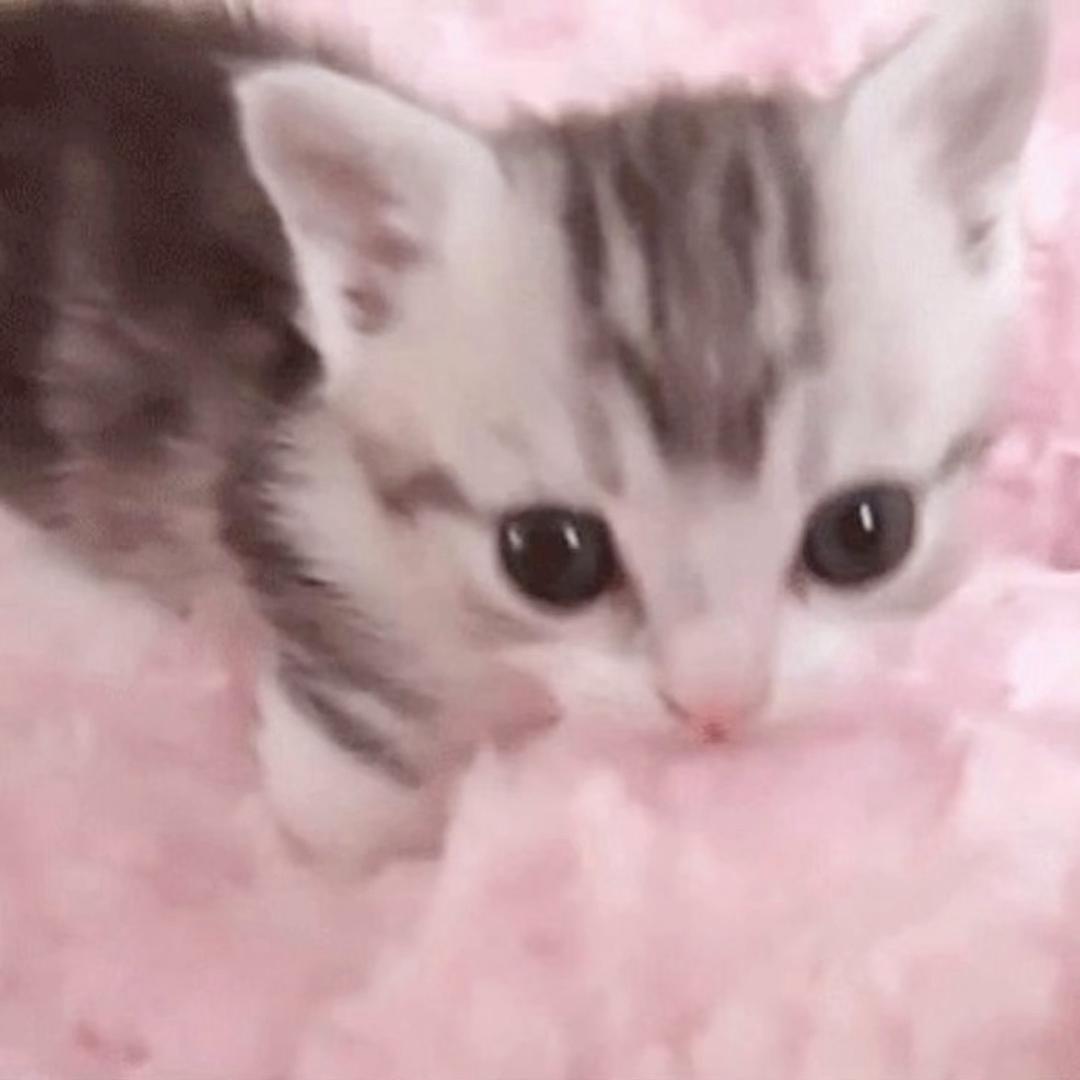 有口福
