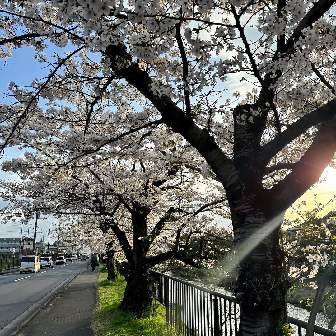 温柔团购