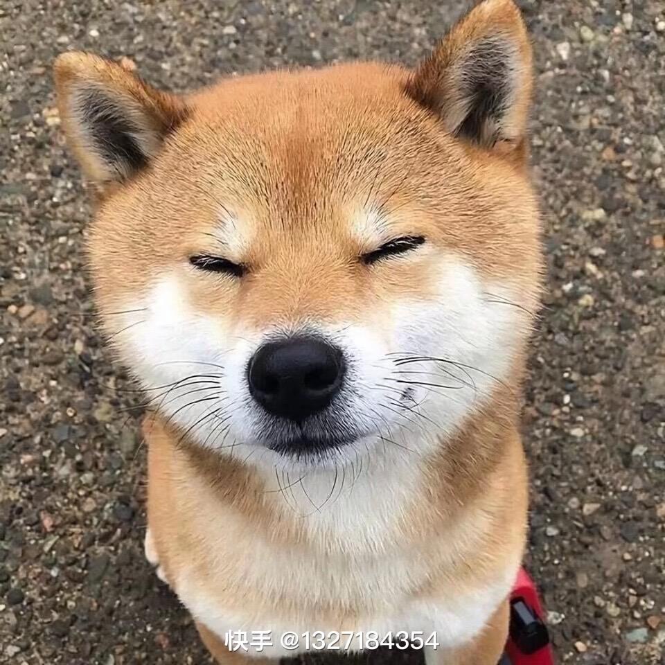 鑫.
