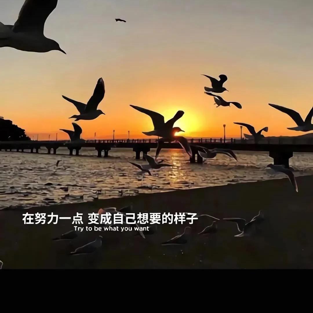 香香香