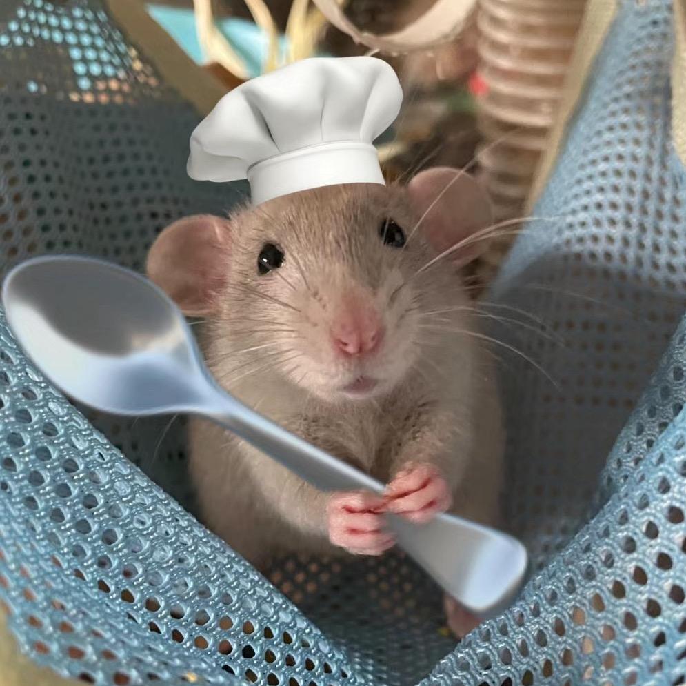 鼠鼠🐹