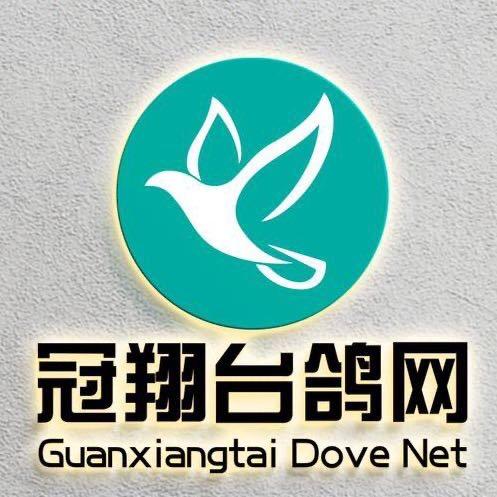 厦门冠翔台鸽网