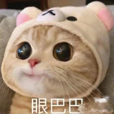 琨棒棒