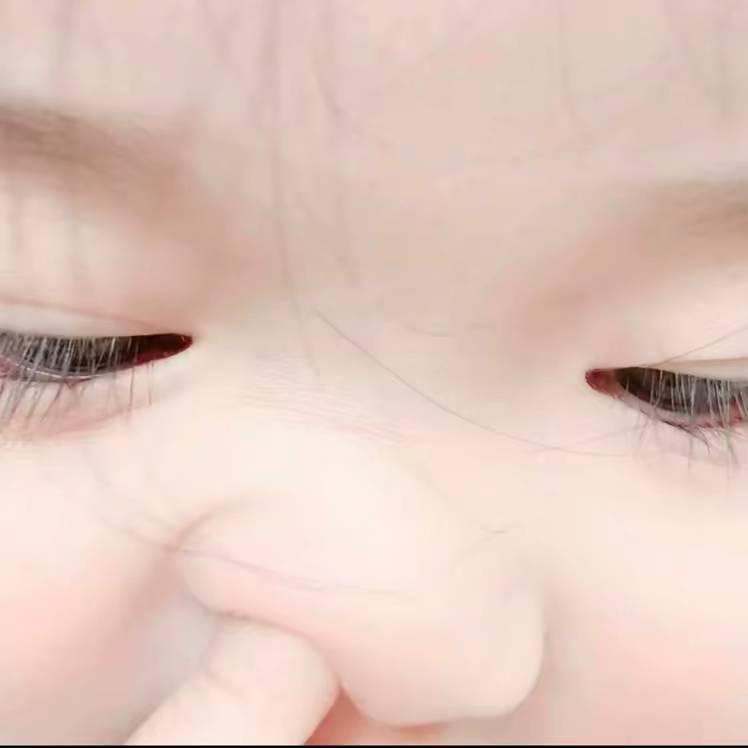飞飞鱼-