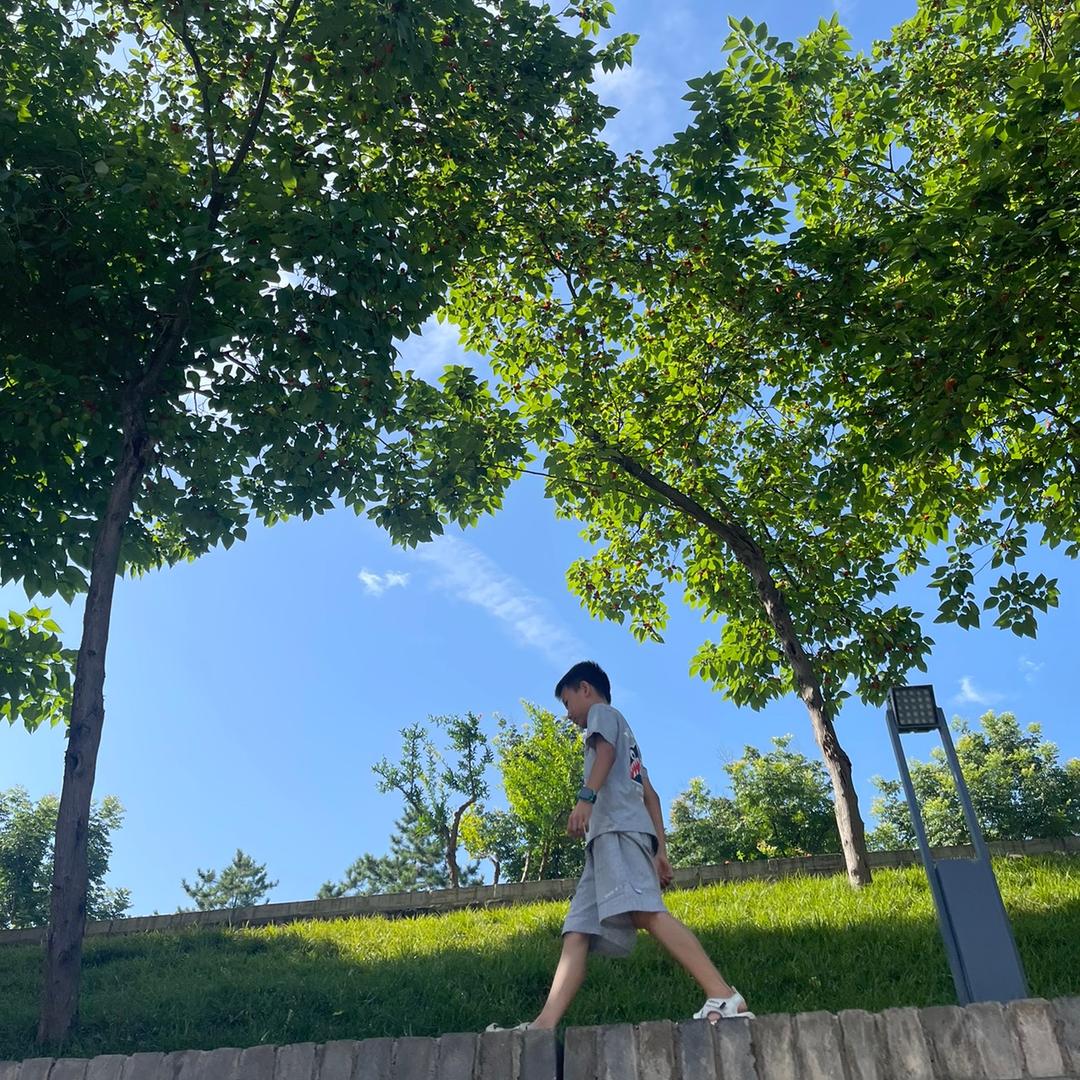 🌈踩着蘑菇采蘑菇🍄