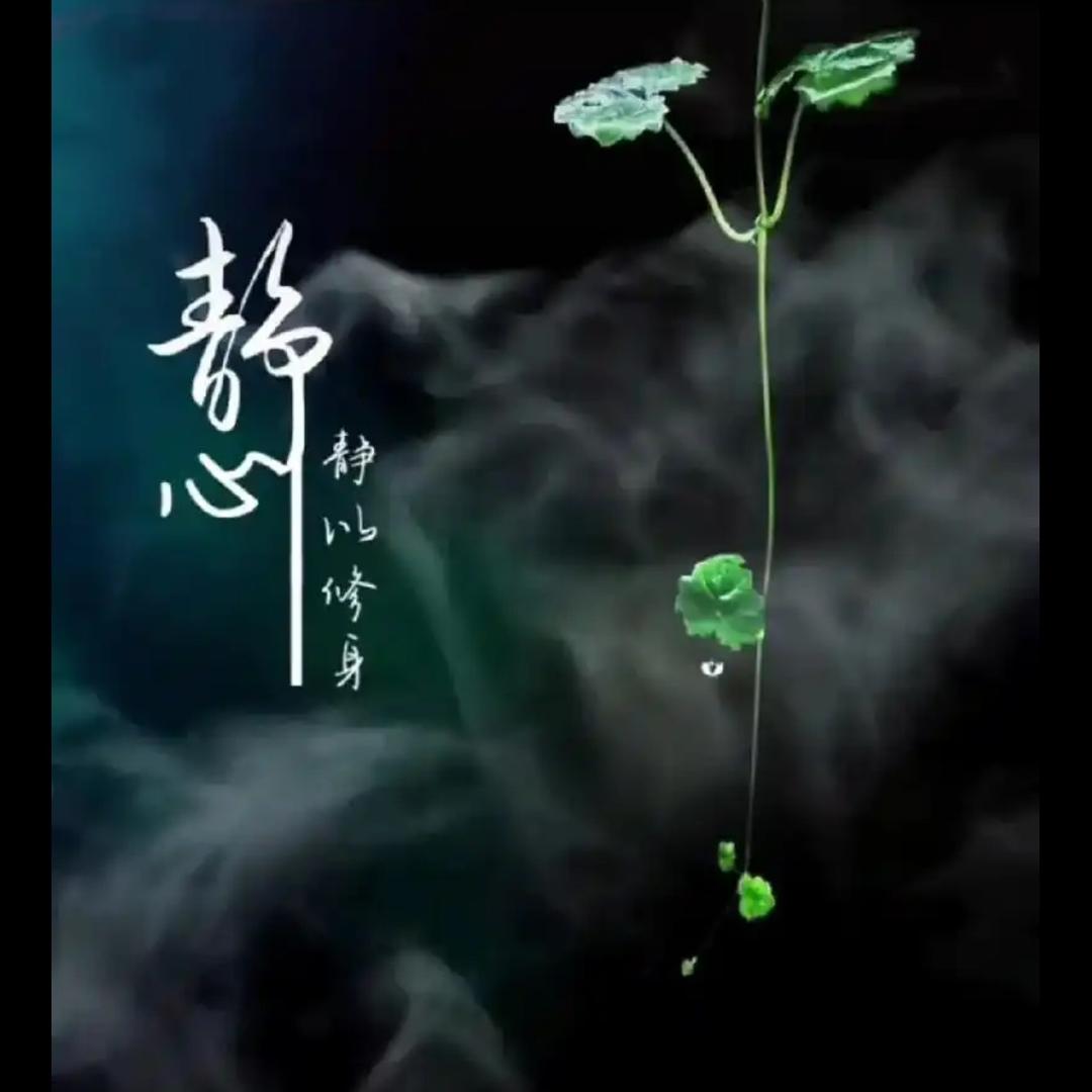 静心学习