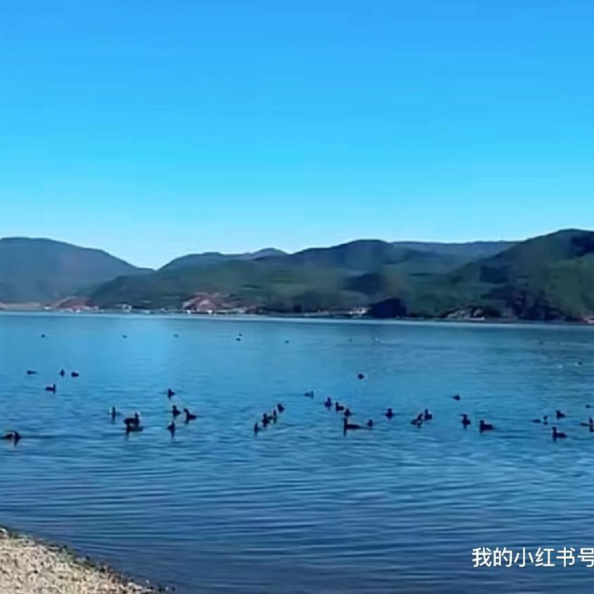 日出先照 沐光而行