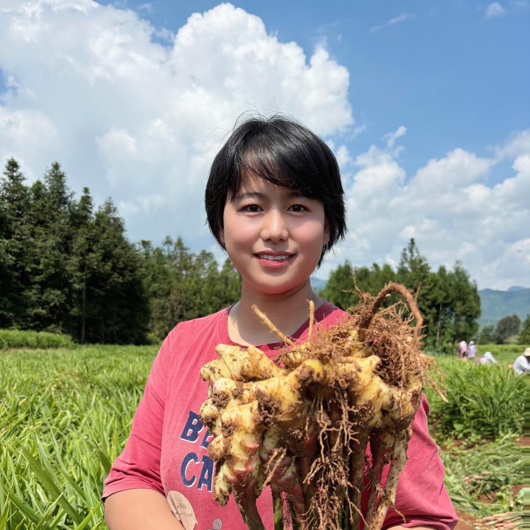 罗平姜小妹