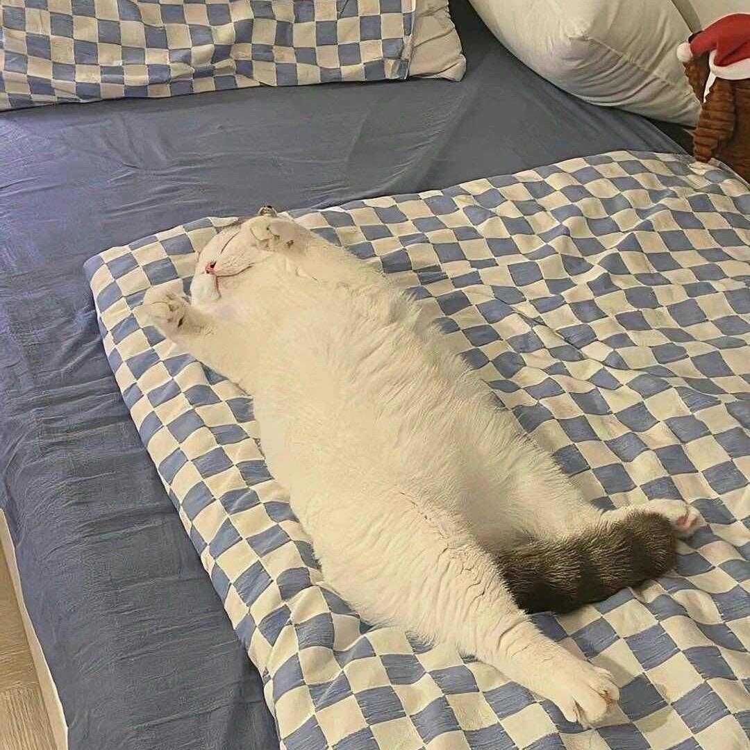 雪上霜