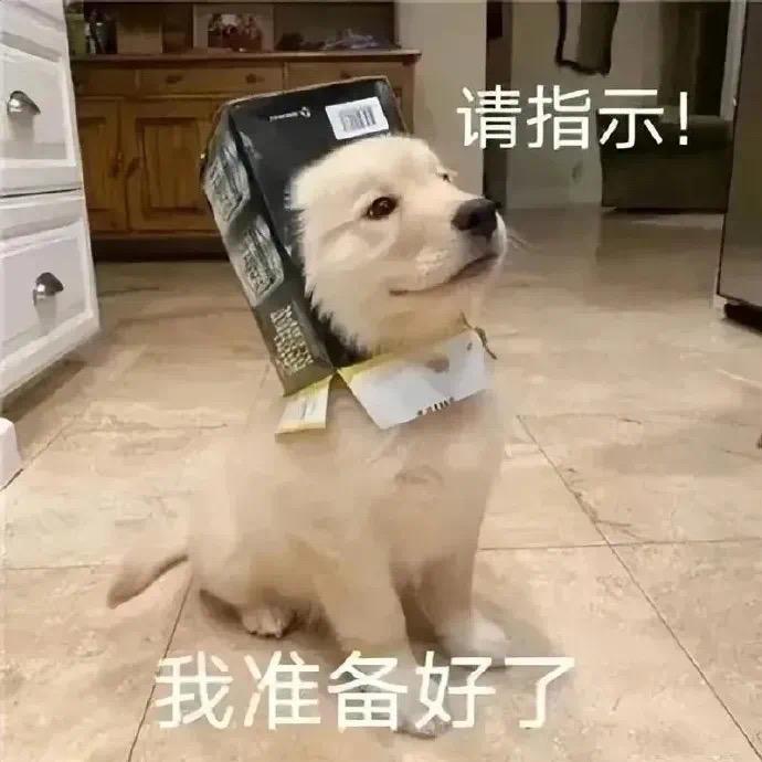 麦当劳酸奶面包
