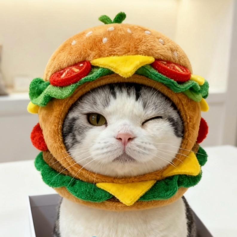 泡芙不是甜甜猫