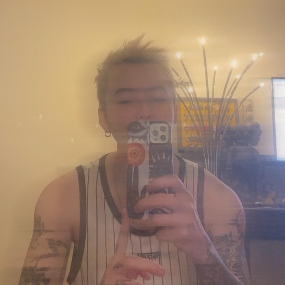 一条条猫