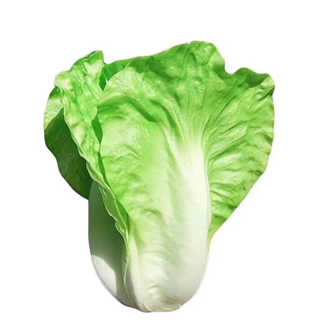 爱吃生菜