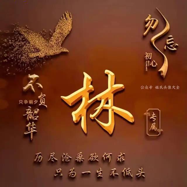 诗琳🌺🌺