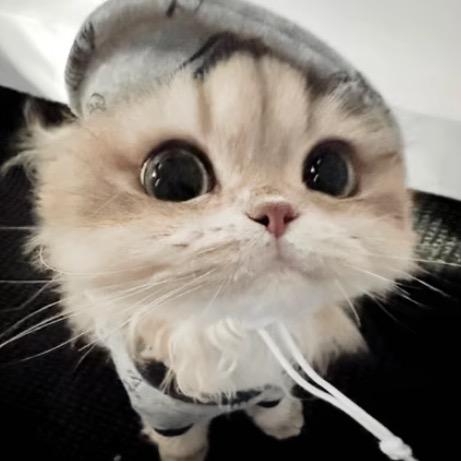 念想.