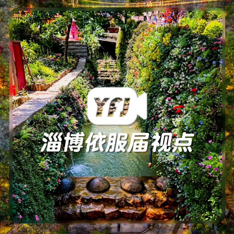 淄博依服届融媒视点