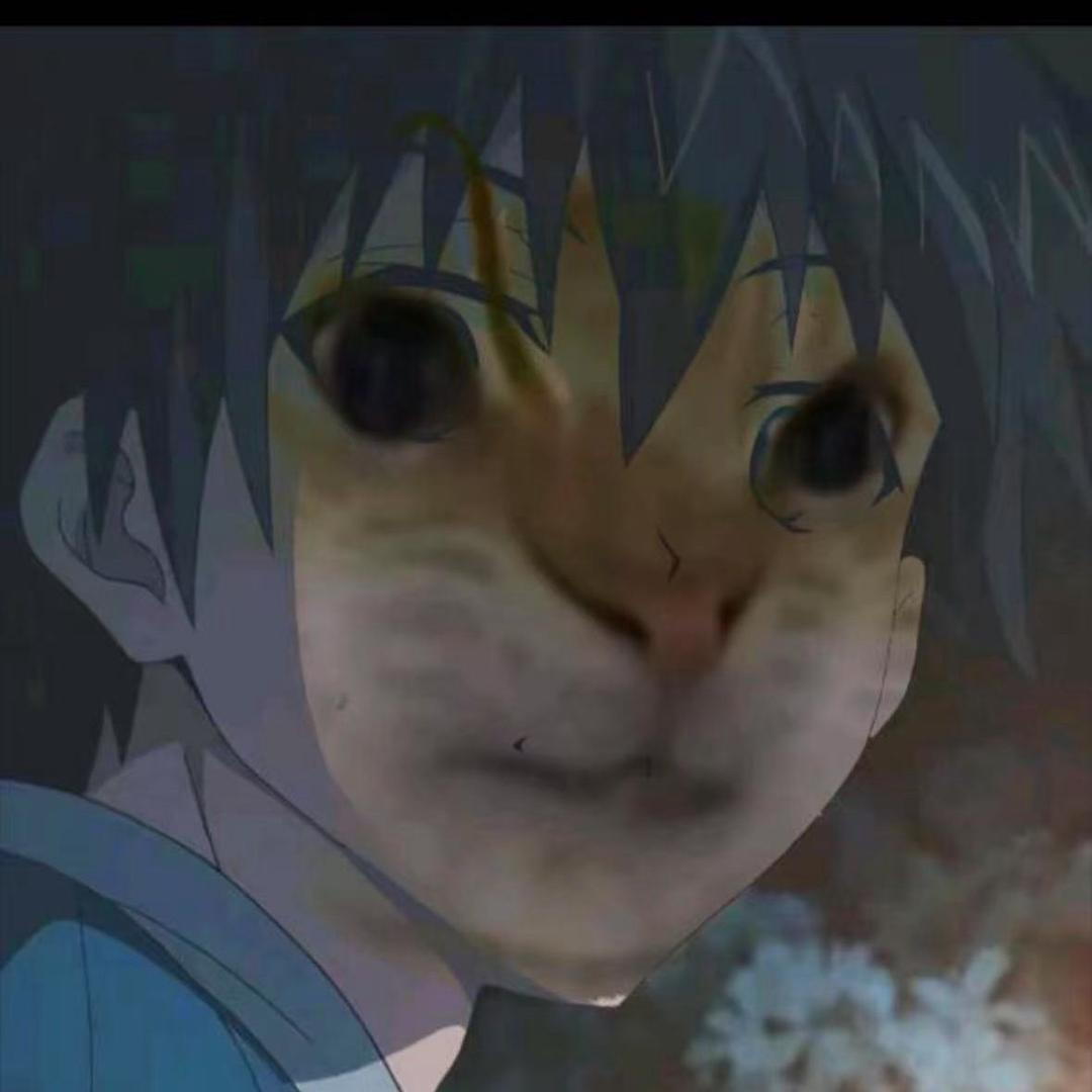 杨78