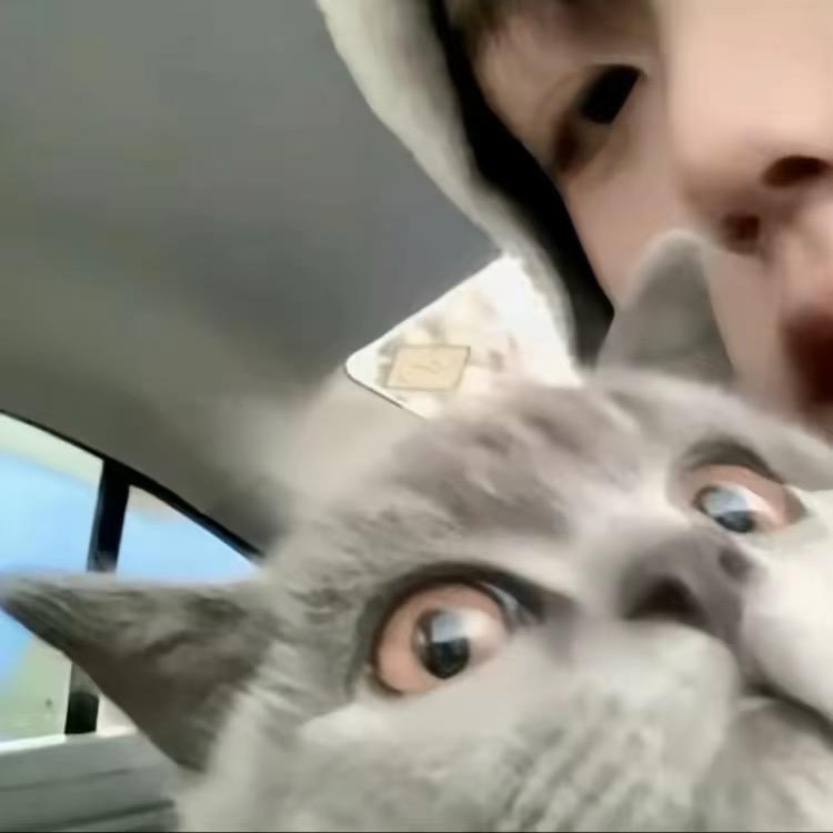 ㅤㅤㅤㅤㅤㅤㅤㅤ𝙞𝙠