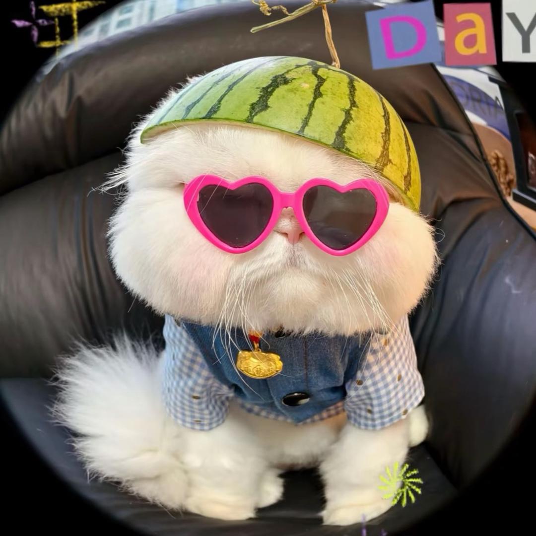 ꧔ꦿ᭄💞金꧔ꦿ᭄💞