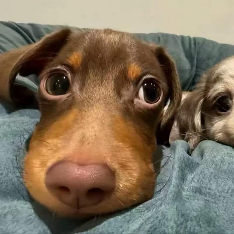 bbbbb.
