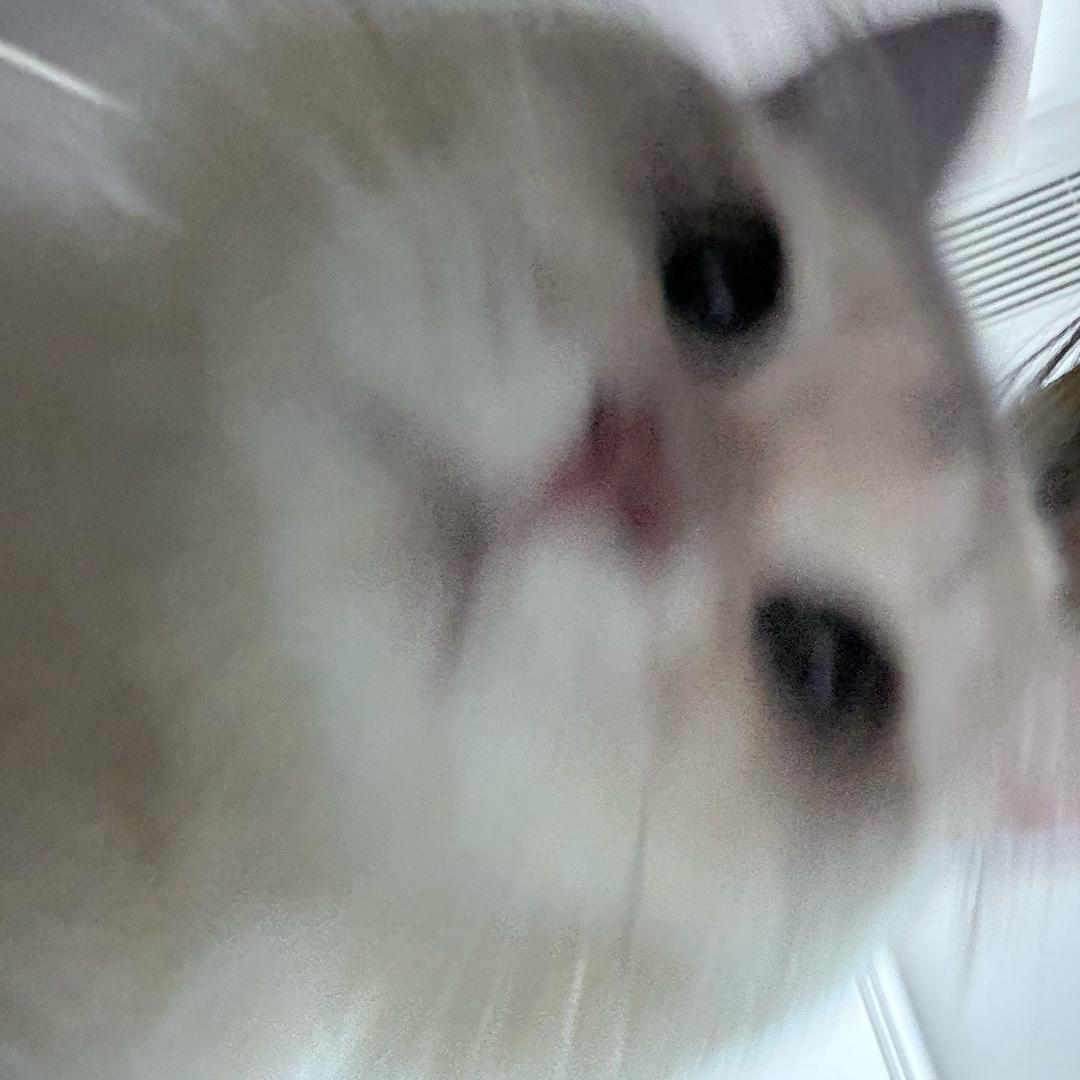 liiiiiiiiiiiiiiiiiii