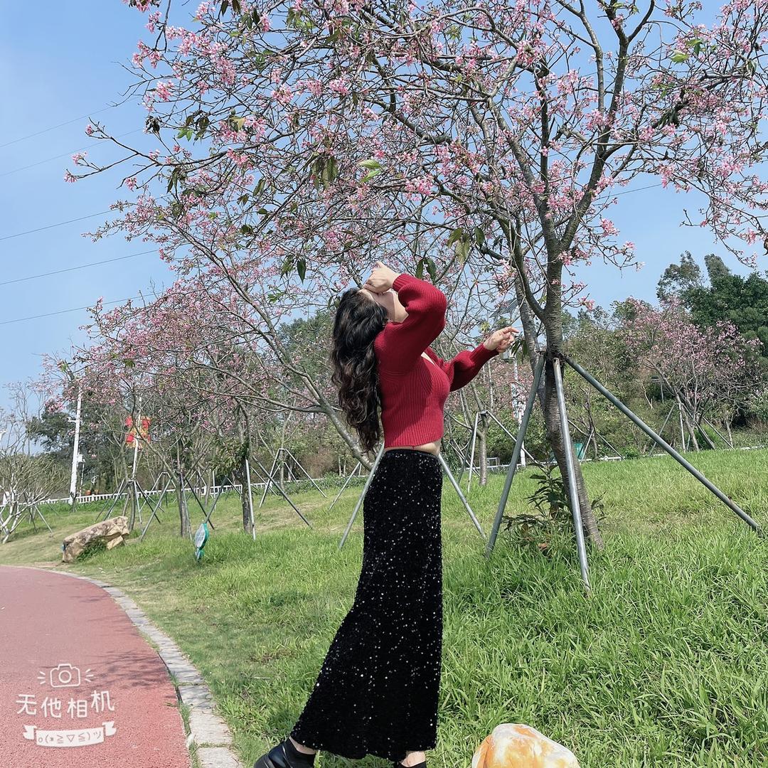 芙蓉