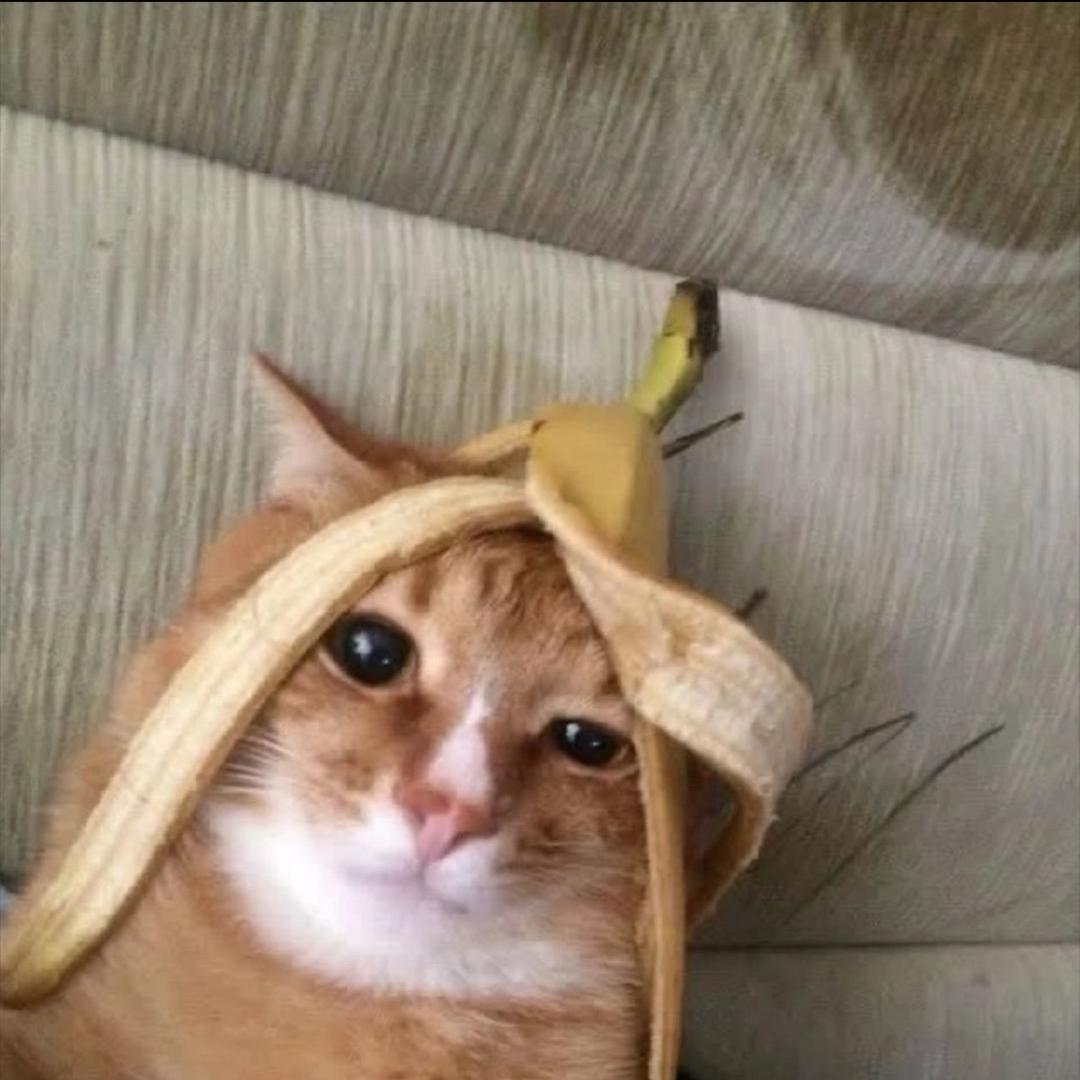 yyyy