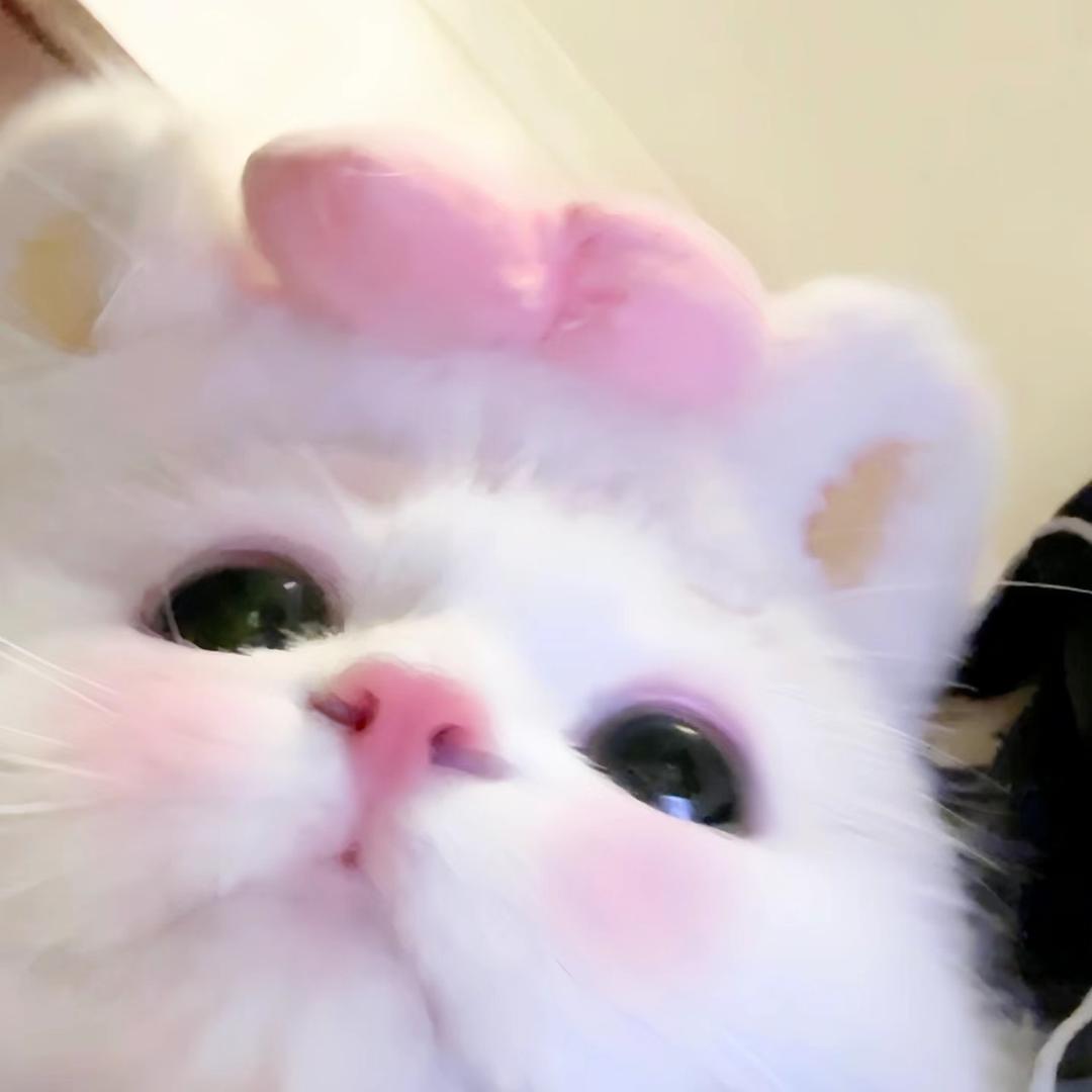 早睡咩咩