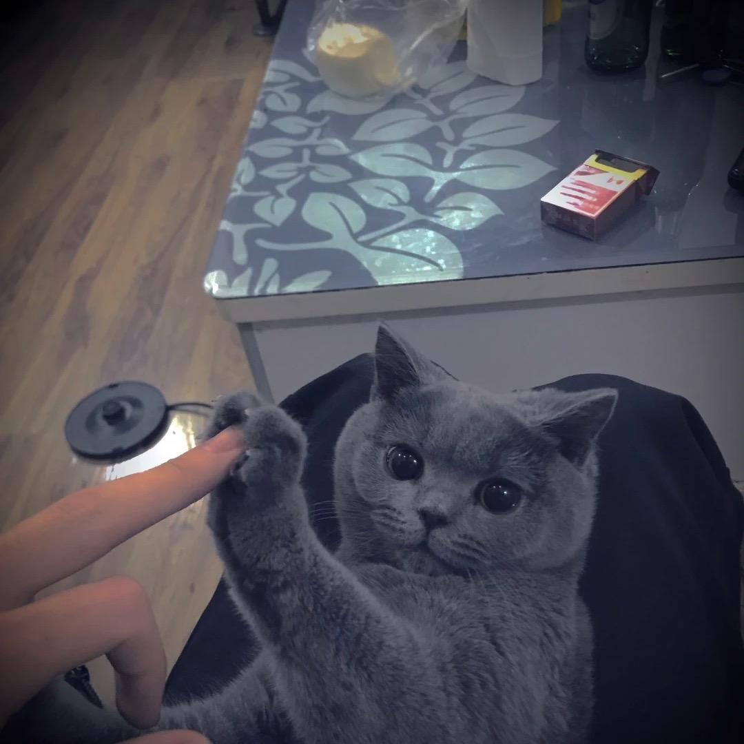 @陈汉辉